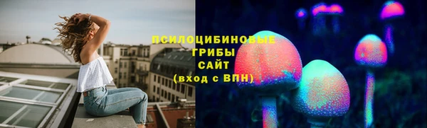 круглые Алзамай