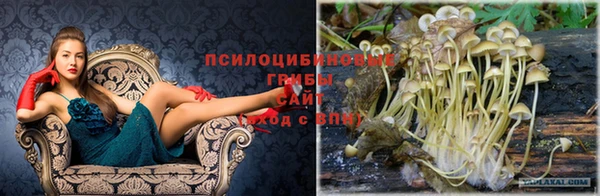 синтетический гашиш Алексеевка