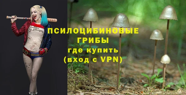 круглые Алзамай