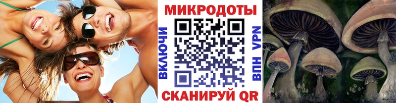 Псилоцибиновые грибы мицелий купить закладку Собинка